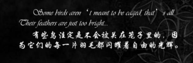 2ff294e238c647bfb945bb46fbd5b690.jpg 333.jpg