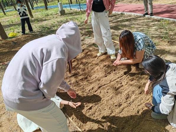 0b315565a043717e0740c887e58a0f7