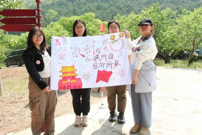 c52902a3d276af75613e986a01b50ed