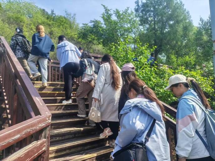 c335c903c8e6e4027b2b177e0986867