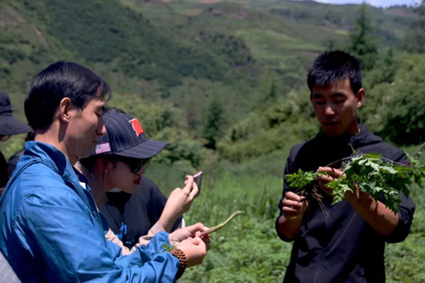 ae9baff87e2d4c3bb0ad6deac8a4fee9.jpg 13_副本.jpg