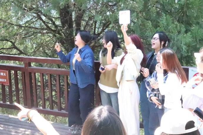 53bc6af176f1cf8c32e574fd519b556